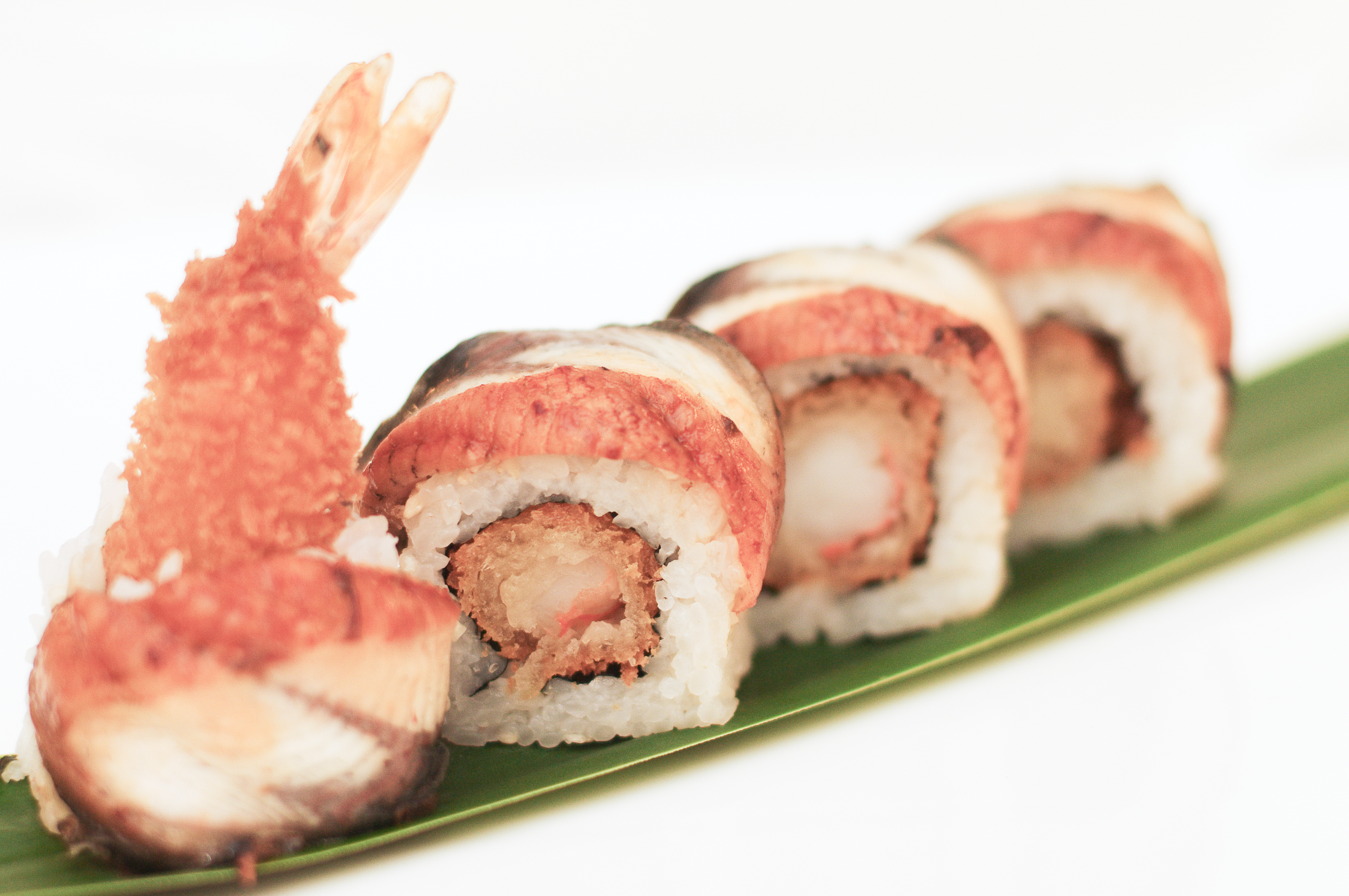 FIRE OCEAN ROLLS